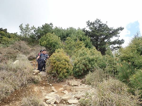 雪山東峰 (99).JPG