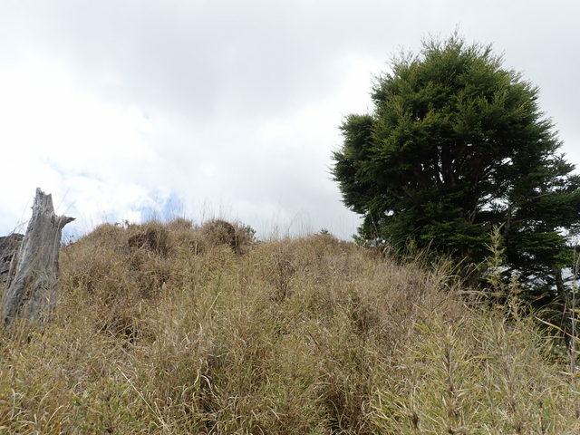 雪山東峰 (118).JPG