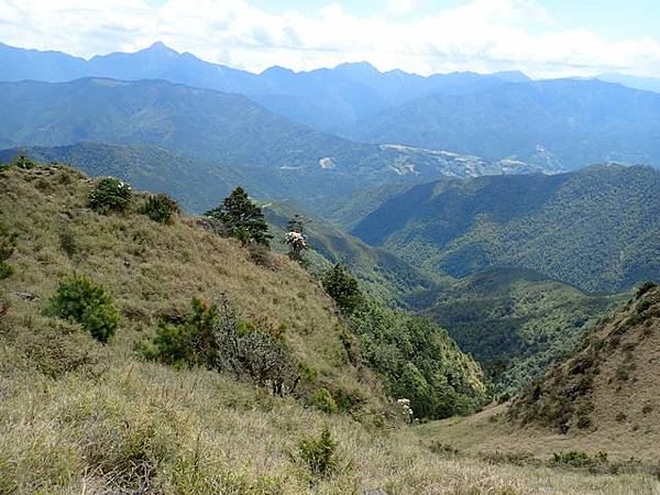 雪山東峰 (116).JPG