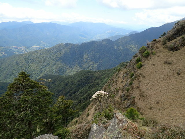 雪山東峰 (113).JPG