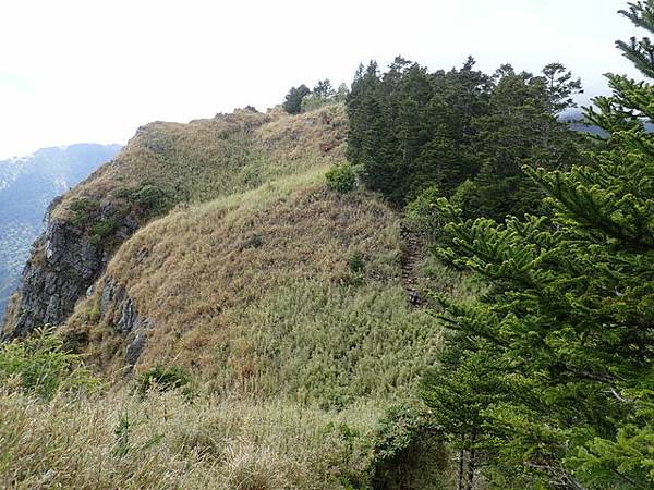 雪山東峰 (128).JPG