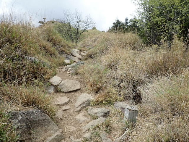 雪山東峰 (140).JPG