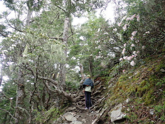 雪山東峰 (182).JPG