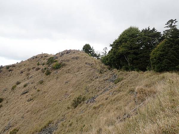 雪山東峰 (185).JPG