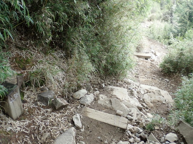 雪山東峰 (188).JPG