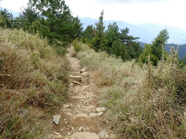 雪山東峰 (202).JPG