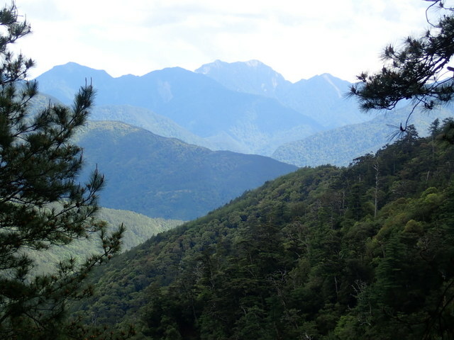 雪山東峰 (226).JPG