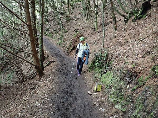 雪山東峰 (225).JPG