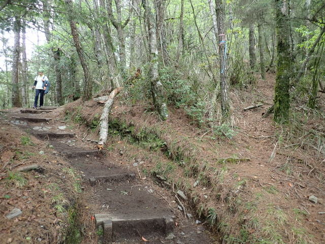 雪山東峰 (227).JPG