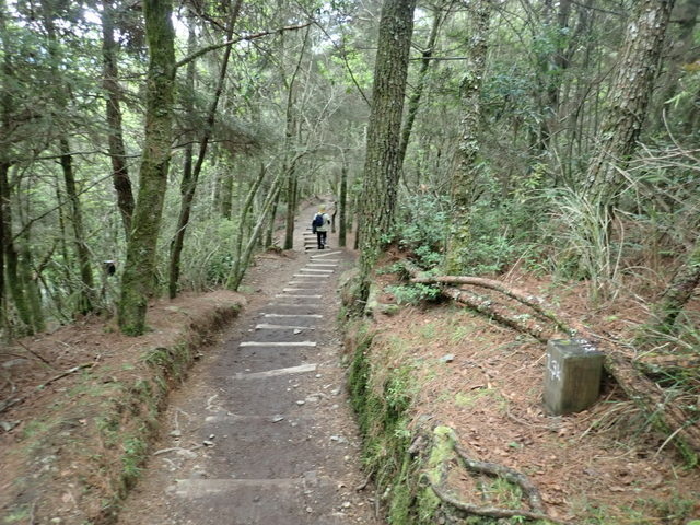 雪山東峰 (231).JPG