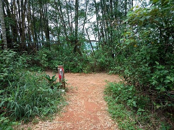 橫山 (30).jpg