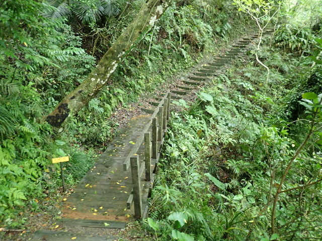 雙流森林遊樂區 (35).JPG