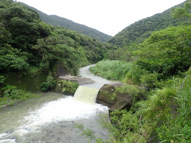 雙流森林遊樂區 (74).JPG