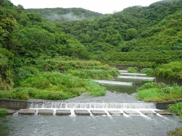 雙流森林遊樂區 (102).jpg