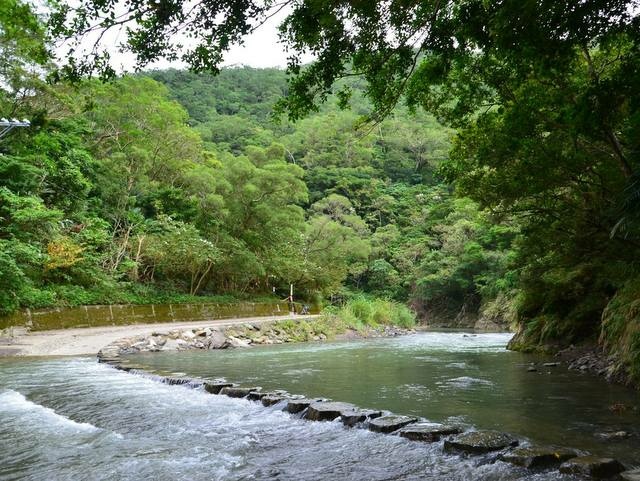 雙流森林遊樂區 (103).jpg