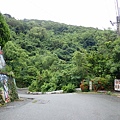金崙 (36).JPG