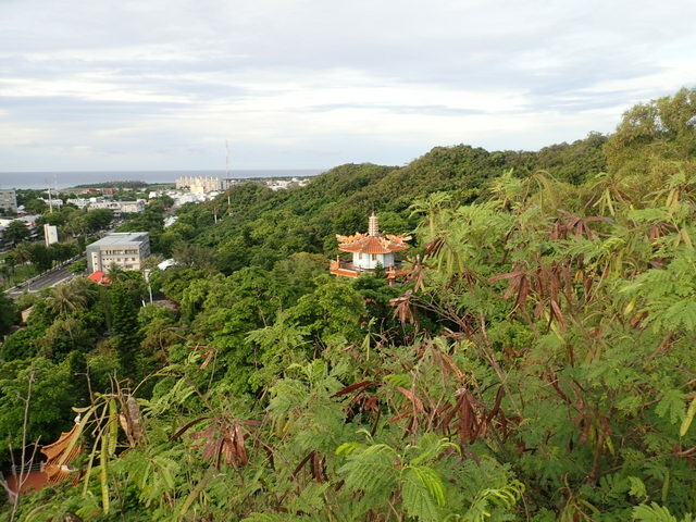 鯉魚山公園 (10).jpg