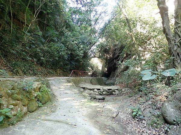 蝙蝠洞瀑布 (10).JPG