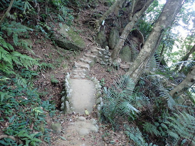 大艽芎古道 (123).JPG