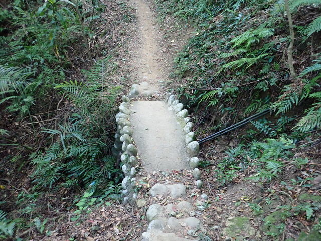 大艽芎古道 (124).JPG