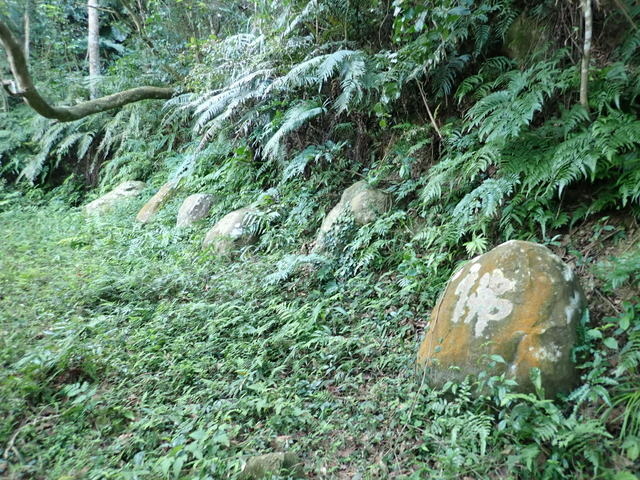 大艽芎古道 (133).JPG