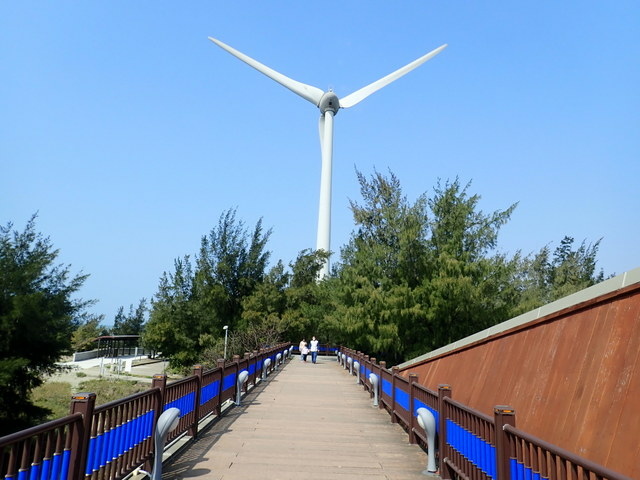 龍鳳漁港 (37).JPG