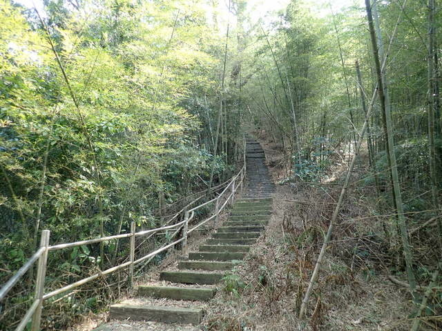 大湖尖山 (38).JPG