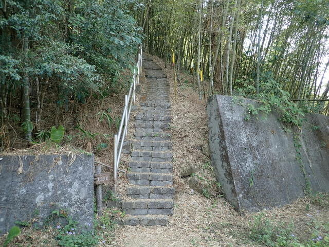 大湖尖山 (42).JPG