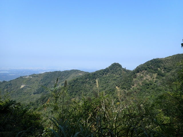 大湖尖山 (50).JPG