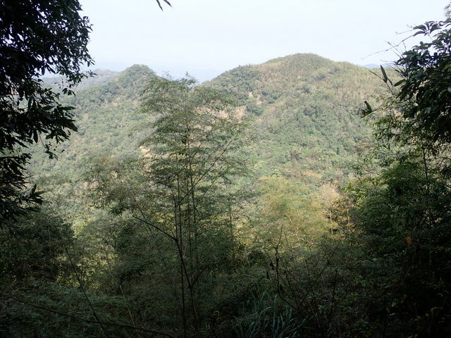 大湖尖山 (51).JPG