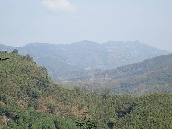 大湖尖山 (65).JPG