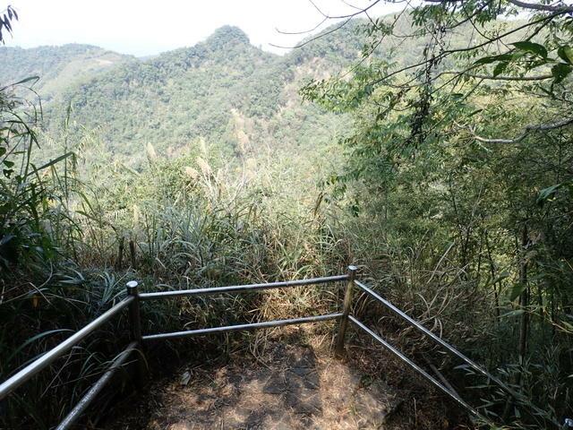 大湖尖山 (78).JPG