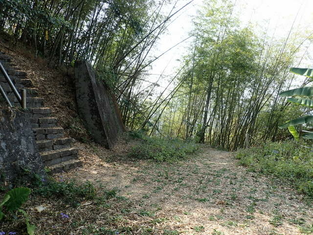 大湖尖山 (84).JPG