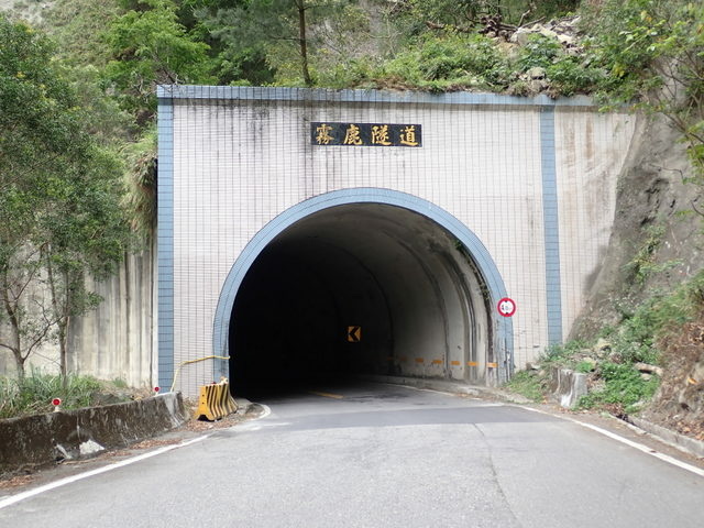 南橫公路 (67).JPG