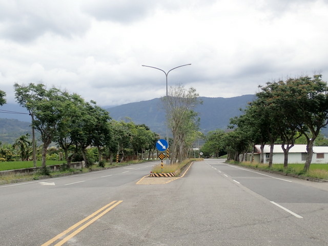 南橫公路 (101).JPG