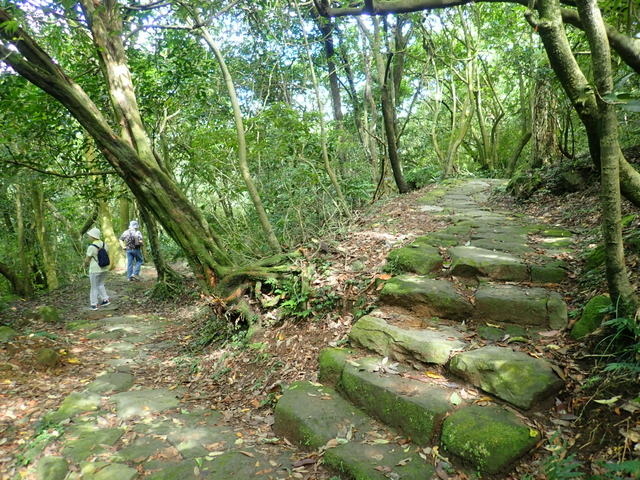 魚路古道 (113).JPG