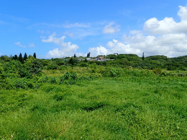 淡金公路 三芝段 (40).JPG