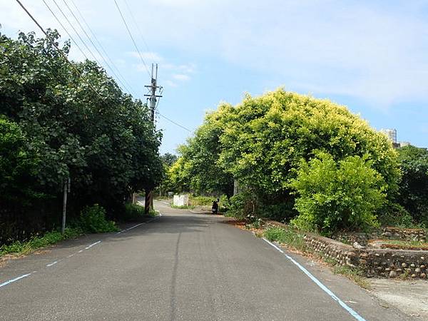 淡金公路 三芝段 (48).JPG