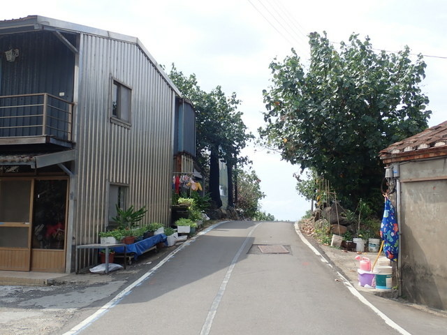 淡金公路 三芝段 (73).JPG