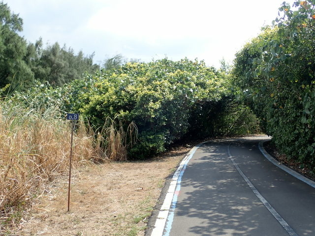 淡金公路 三芝段 (107).JPG