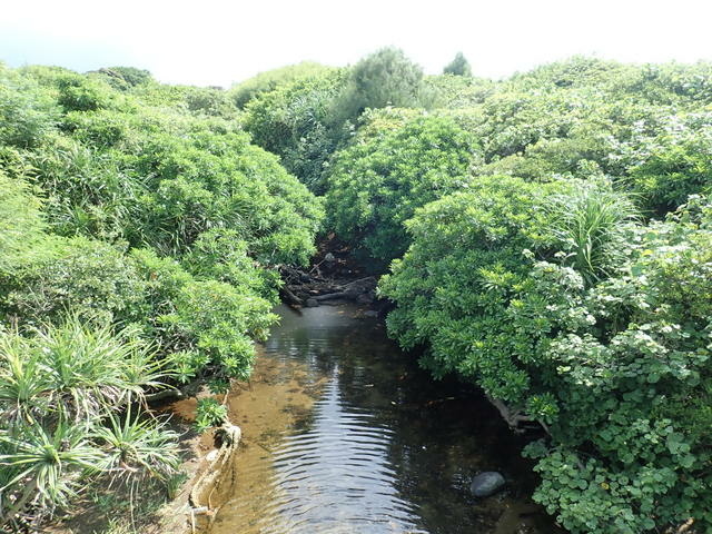 淡金公路 三芝段 (115).JPG