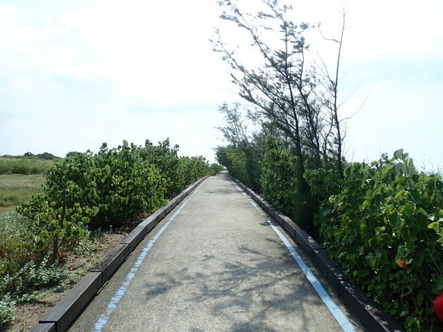 淡金公路 三芝段 (131).JPG