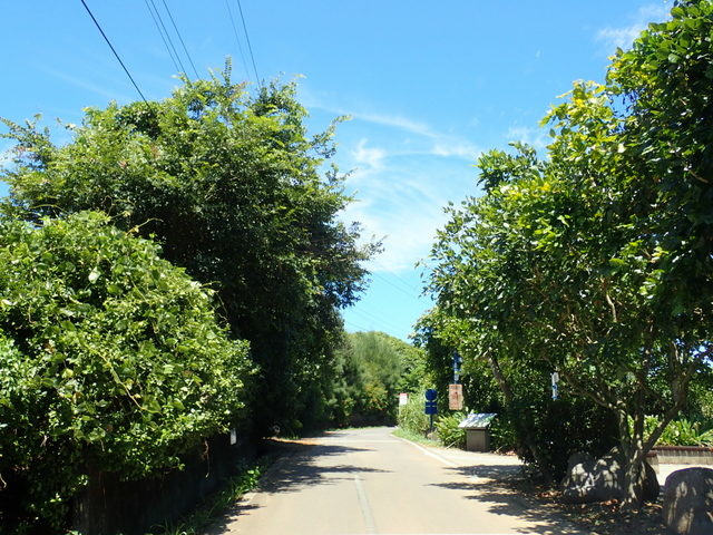 淡金公路 三芝段 (164).JPG