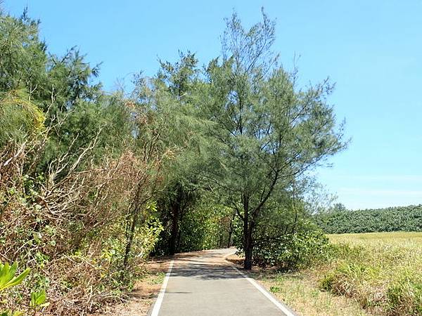 淡金公路 三芝段 (184).JPG