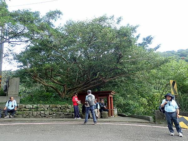 草嶺古道 (5).JPG