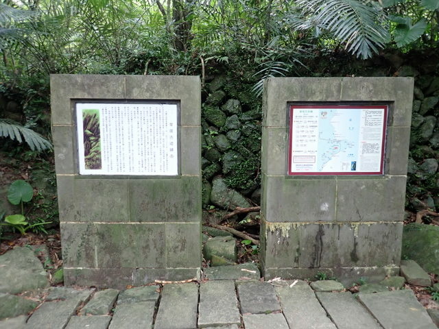 草嶺古道 (29).JPG