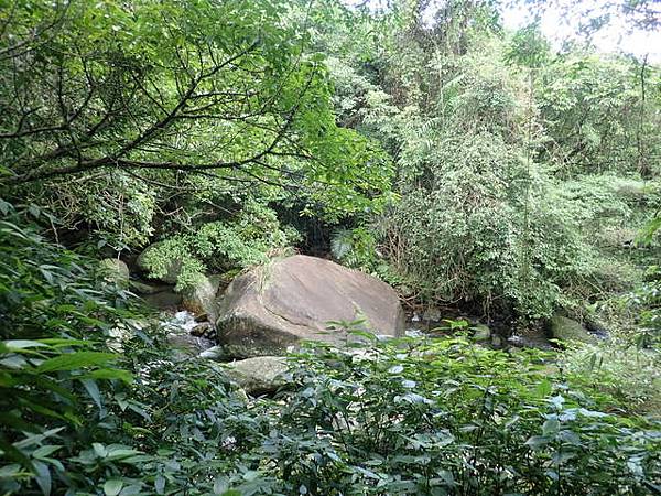 草嶺古道 (30).JPG