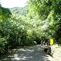 草嶺古道 (74).JPG