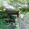 草嶺古道 (120).JPG