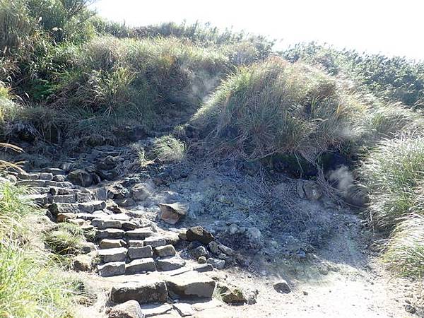 七星山步道 (39).JPG